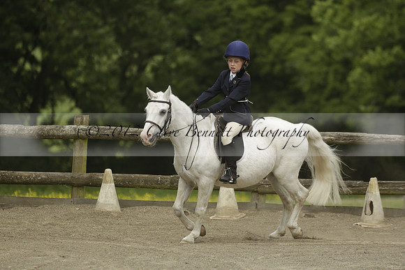 Wendy Sugden's pony show 2013.06.09