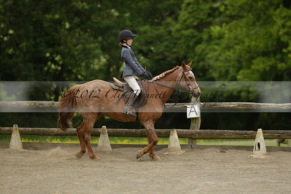 Wendy Sugden's pony show 2013.06.09