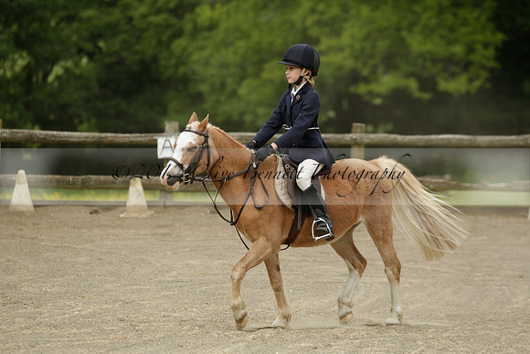 Wendy Sugden's pony show 2013.06.09