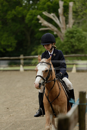 Wendy Sugden's pony show 2013.06.09