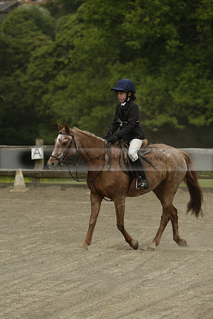 Wendy Sugden's pony show 2013.06.09