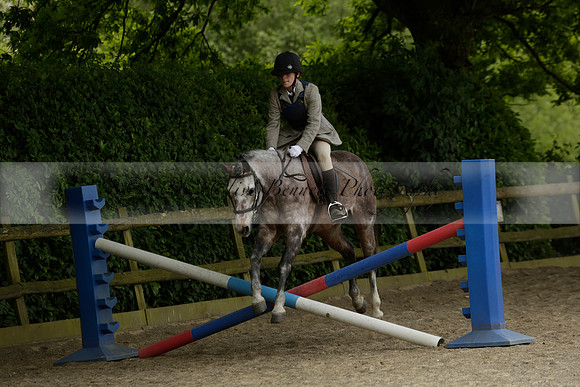 Wendy Sugden's pony show 2013.06.09 Grangefields Riding School