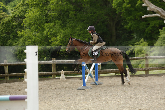 Wendy Sugden's pony show 2013.06.09 Grangefields Riding School