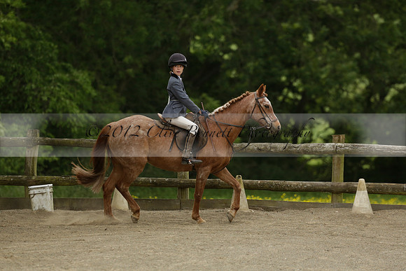 Wendy Sugden's pony show 2013.06.09