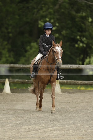 Wendy Sugden's pony show 2013.06.09