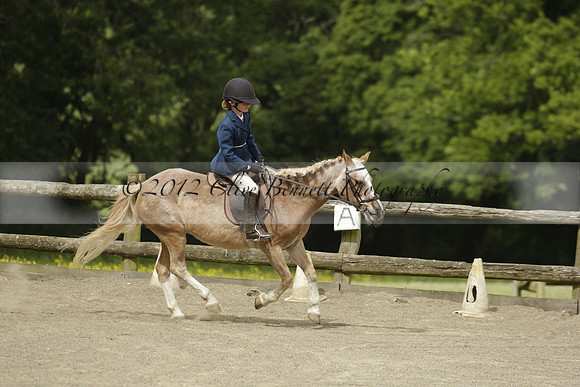 Wendy Sugden's pony show 2013.06.09