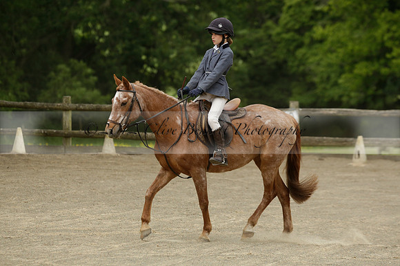 Wendy Sugden's pony show 2013.06.09