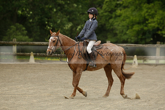 Wendy Sugden's pony show 2013.06.09