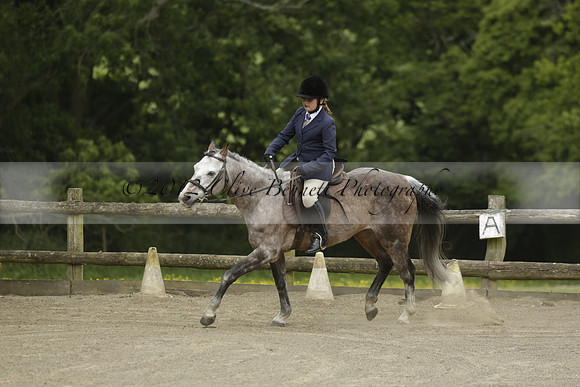 Wendy Sugden's pony show 2013.06.09
