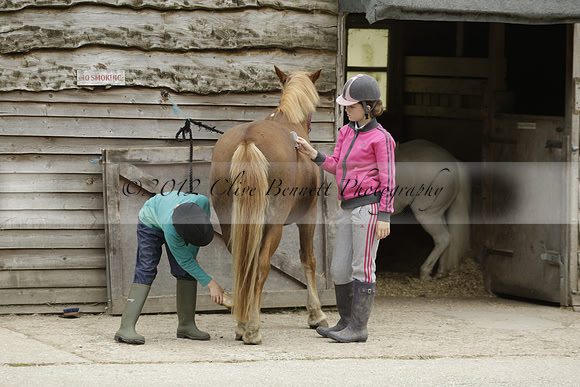 Wendy Sugden's pony show 2013.06.09