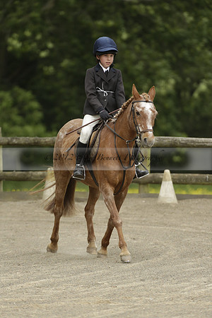 Wendy Sugden's pony show 2013.06.09