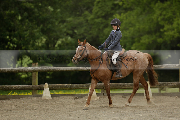Wendy Sugden's pony show 2013.06.09