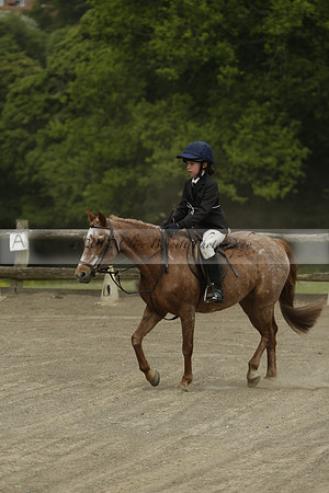 Wendy Sugden's pony show 2013.06.09