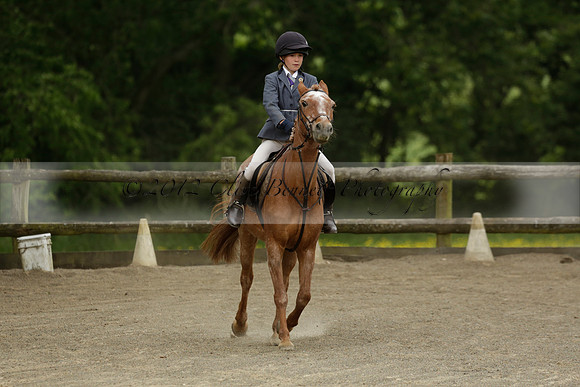 Wendy Sugden's pony show 2013.06.09