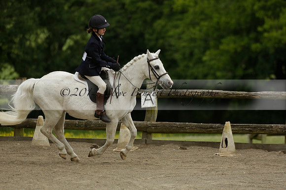Wendy Sugden's pony show 2013.06.09