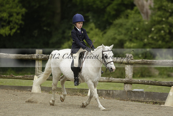 Wendy Sugden's pony show 2013.06.09