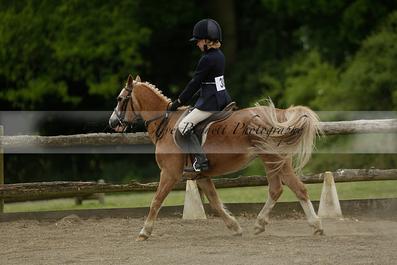 Wendy Sugden's pony show 2013.06.09