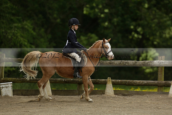 Wendy Sugden's pony show 2013.06.09
