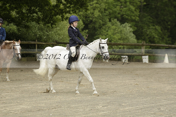 Wendy Sugden's pony show 2013.06.09