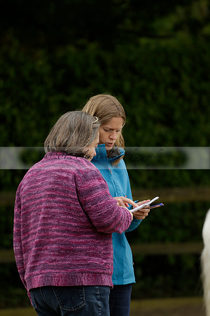 Wendy Sugden's pony show 2013.06.09