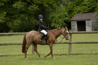 Wendy Sugden's pony show 2013.06.09