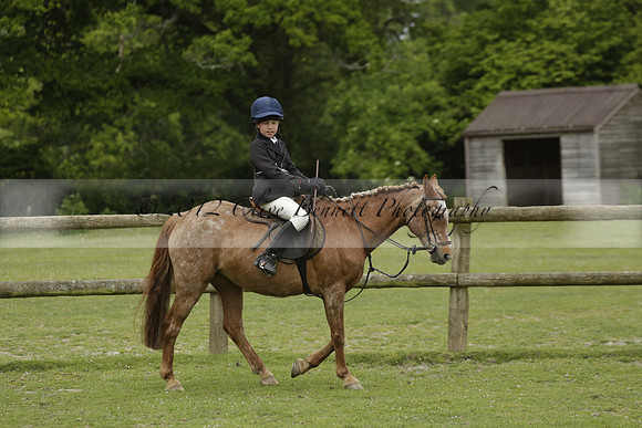 Wendy Sugden's pony show 2013.06.09