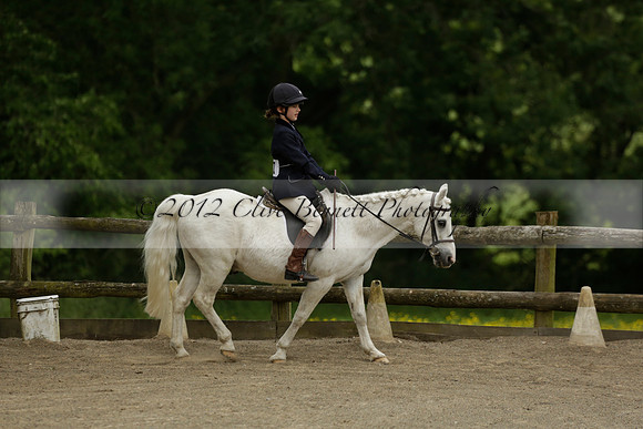 Wendy Sugden's pony show 2013.06.09