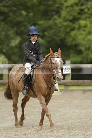 Wendy Sugden's pony show 2013.06.09