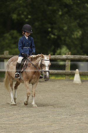 Wendy Sugden's pony show 2013.06.09