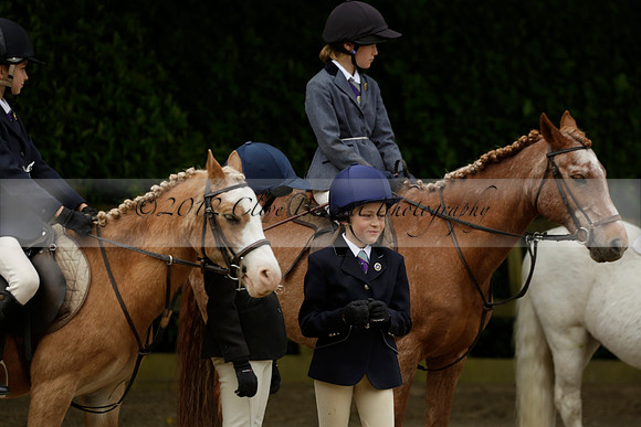 Wendy Sugden's pony show 2013.06.09