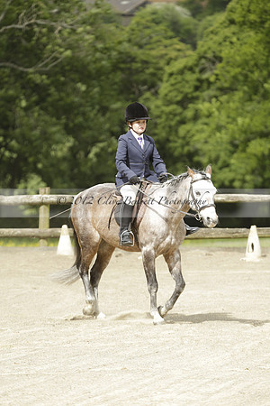 Wendy Sugden's pony show 2013.06.09
