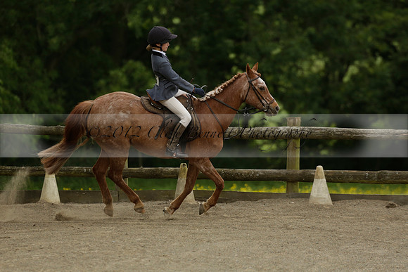 Wendy Sugden's pony show 2013.06.09