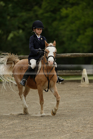 Wendy Sugden's pony show 2013.06.09