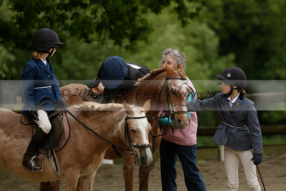 Wendy Sugden's pony show 2013.06.09