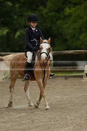 Wendy Sugden's pony show 2013.06.09