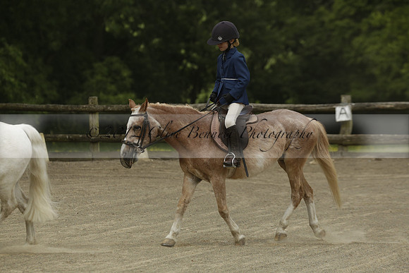 Wendy Sugden's pony show 2013.06.09