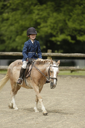 Wendy Sugden's pony show 2013.06.09
