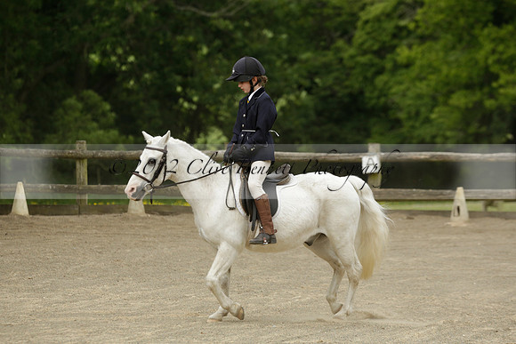 Wendy Sugden's pony show 2013.06.09