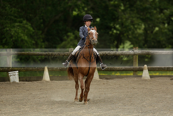 Wendy Sugden's pony show 2013.06.09