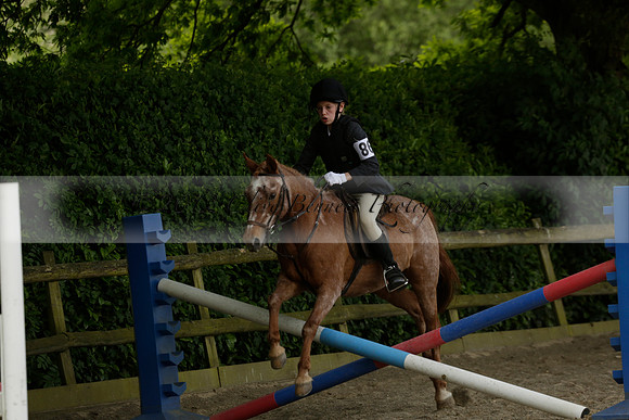 Wendy Sugden's pony show 2013.06.09 Grangefields Riding School