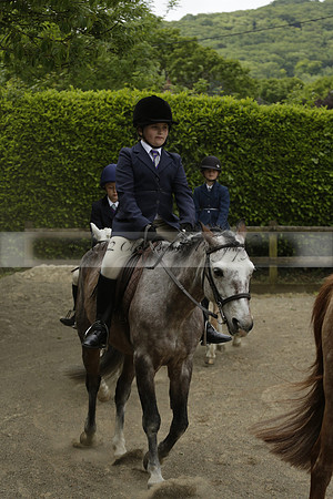Wendy Sugden's pony show 2013.06.09