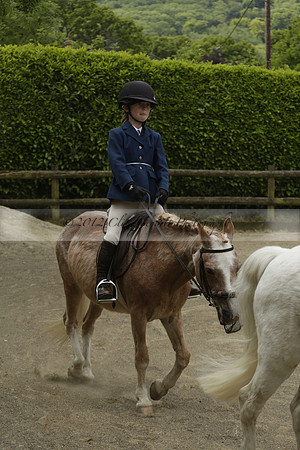 Wendy Sugden's pony show 2013.06.09
