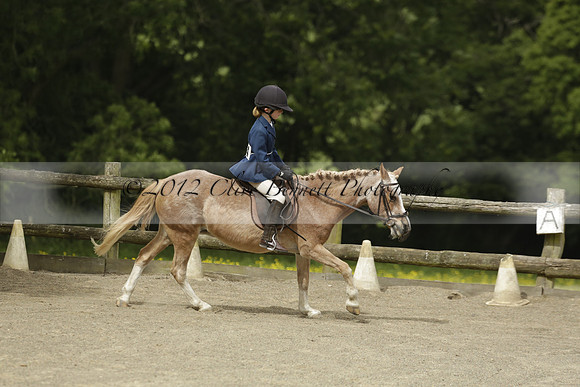 Wendy Sugden's pony show 2013.06.09