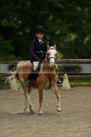 Wendy Sugden's pony show 2013.06.09