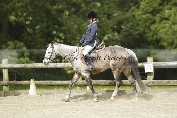 Wendy Sugden's pony show 2013.06.09