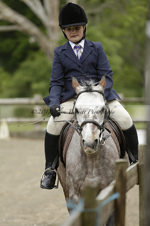 Wendy Sugden's pony show 2013.06.09