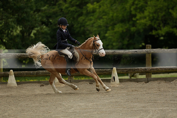 Wendy Sugden's pony show 2013.06.09