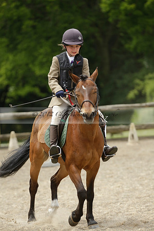 Wendy Sugden's pony show 2013.06.09 Grangefields Riding School