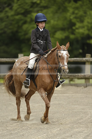 Wendy Sugden's pony show 2013.06.09