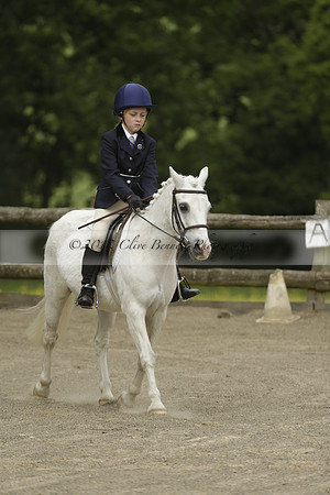 Wendy Sugden's pony show 2013.06.09